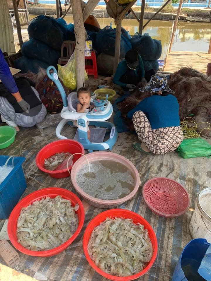Крупный морепродукт «tích» на пару: мясной и с икрой