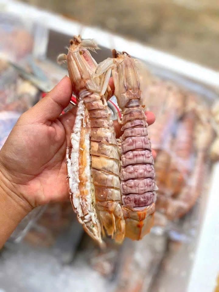 Крупный морепродукт «tích» на пару: мясной и с икрой