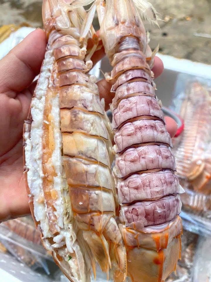Крупный морепродукт «tích» на пару: мясной и с икрой