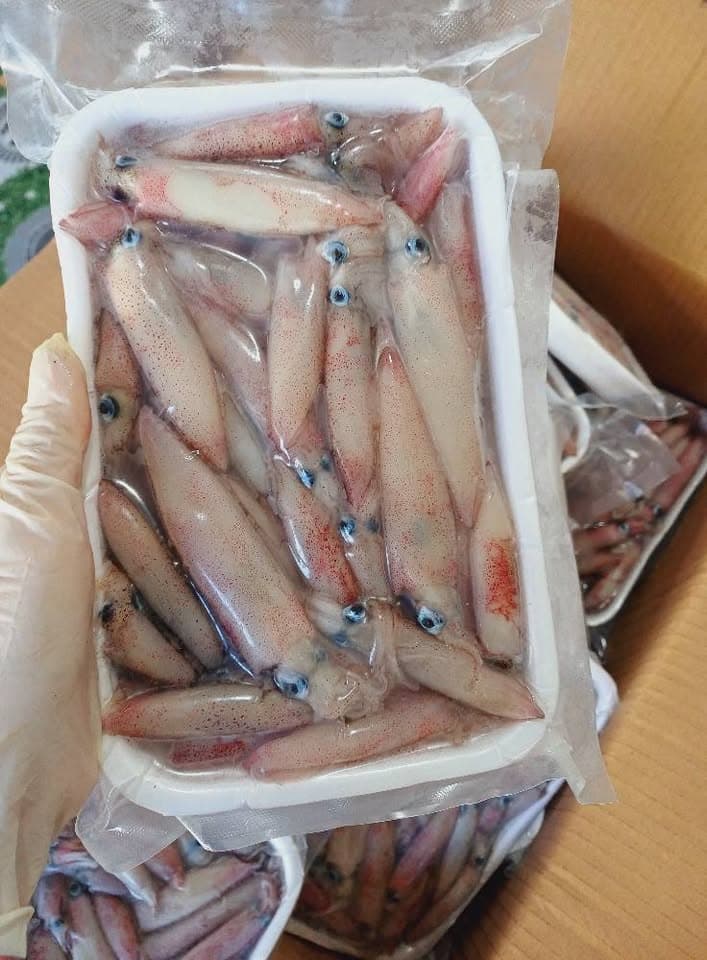 Мелкий кальмар mực sữa, оптом