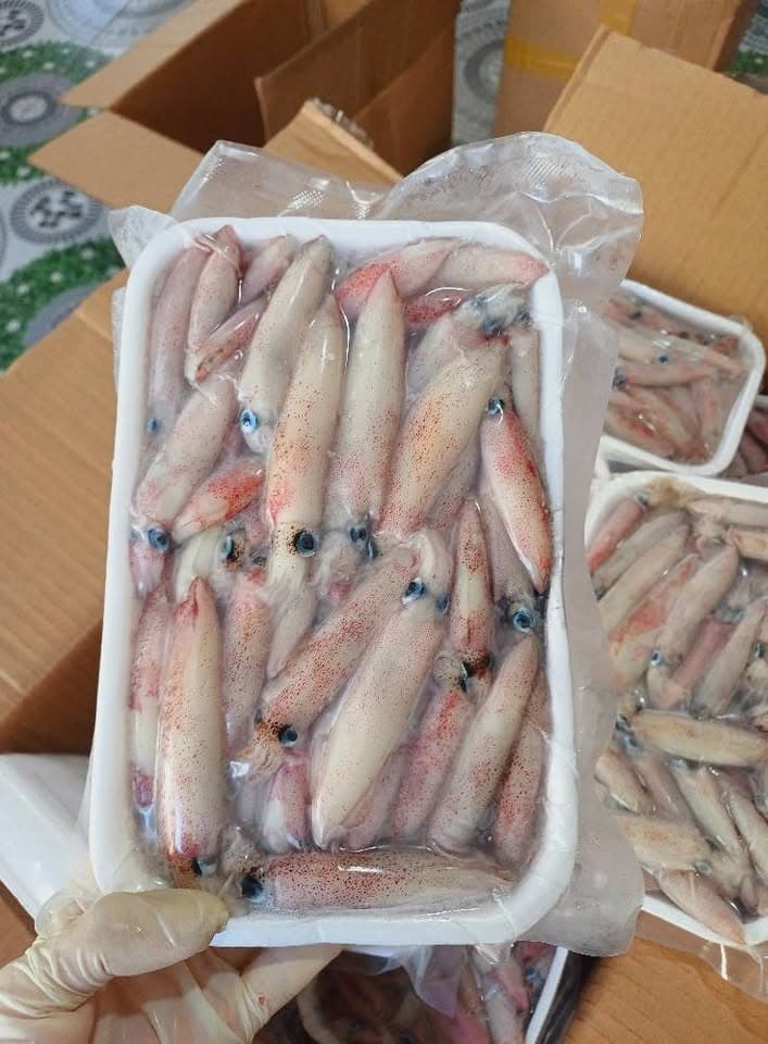 Мелкий кальмар mực sữa, оптом
