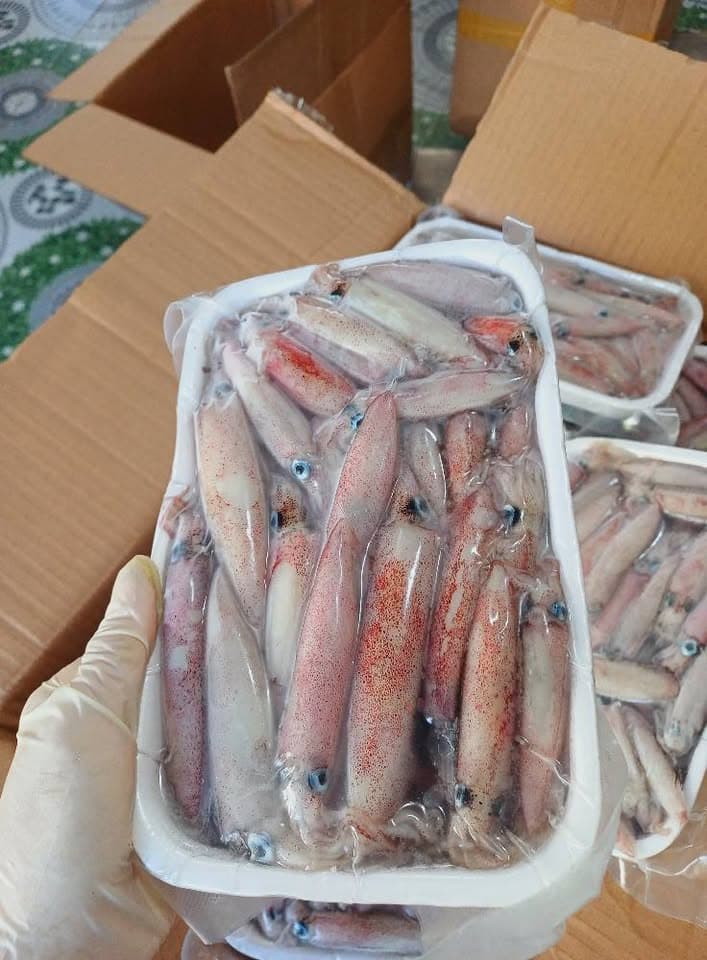 Мелкий кальмар mực sữa, оптом