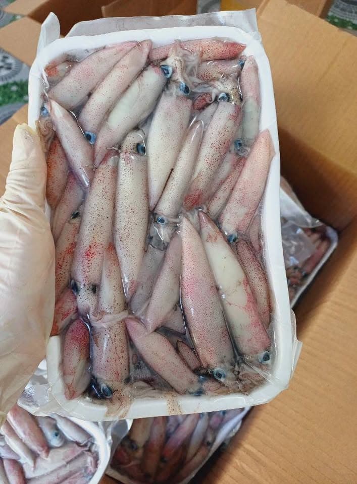 Мелкий кальмар mực sữa, оптом