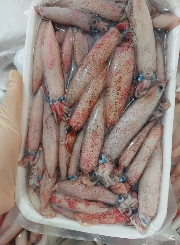 Мелкий кальмар mực sữa, оптом