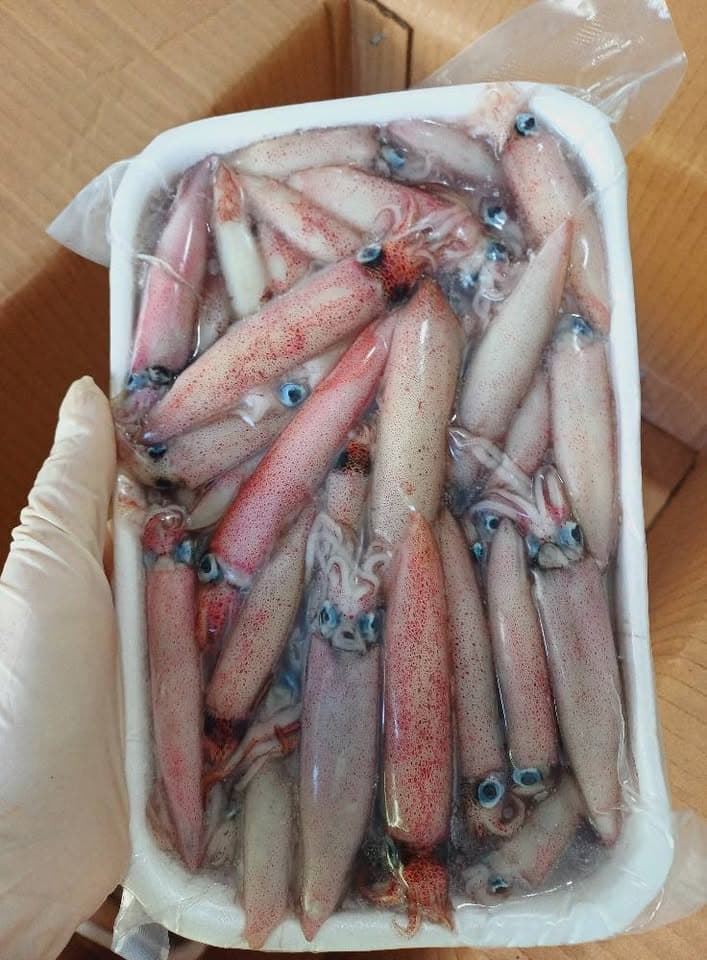 Мелкий кальмар mực sữa, оптом