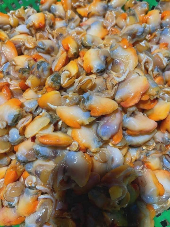 Мясо/мускул ракушек ракушки sò / двустворчатые моллюски и мясо волосатой ракушки