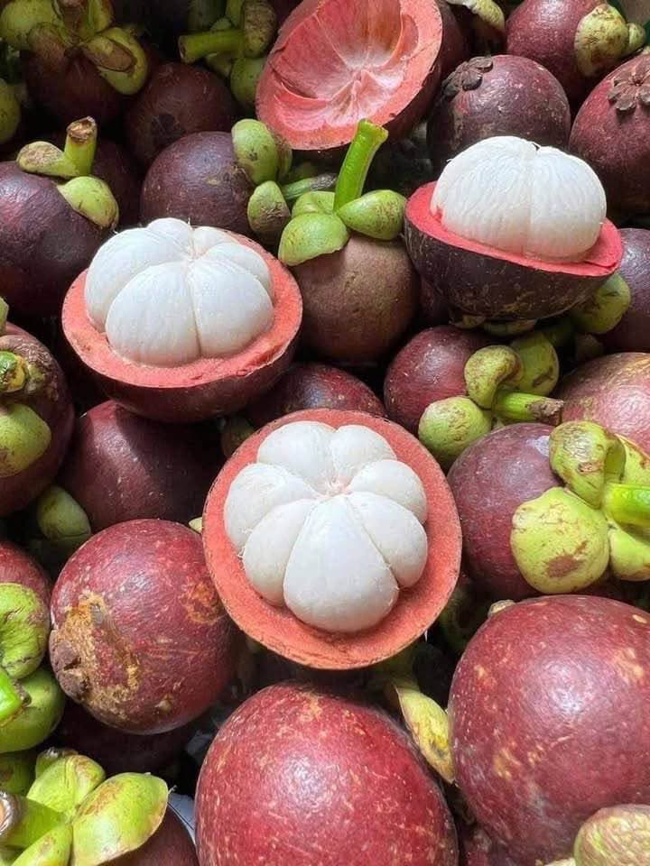 «Măng cục» — вероятно, мангостан, россыпью