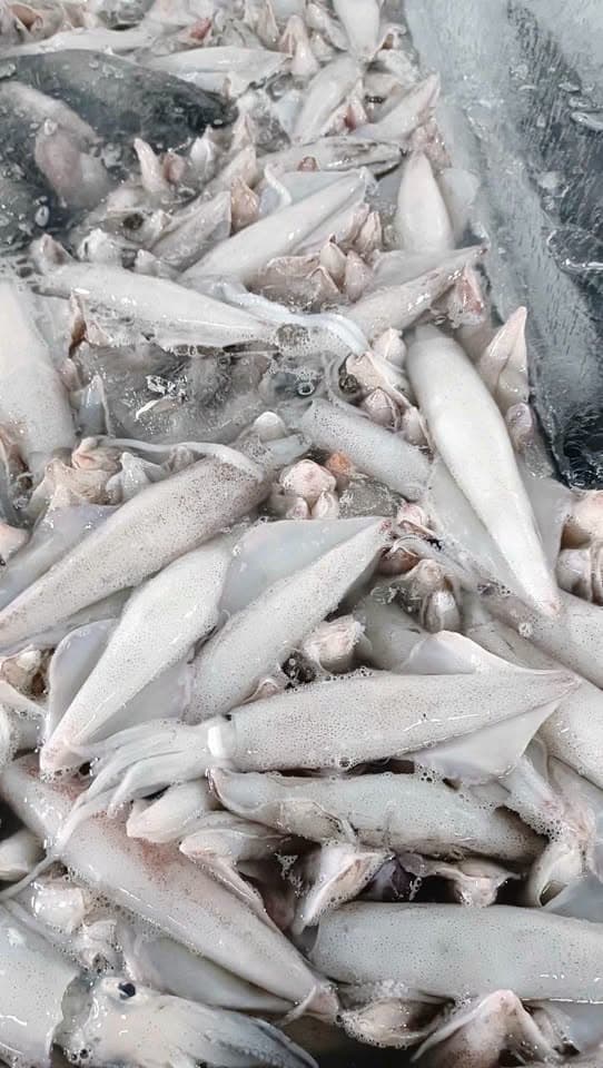 Морепродукты в наличии на 1/7, включая улитки ốc (Tua улитки ốc)