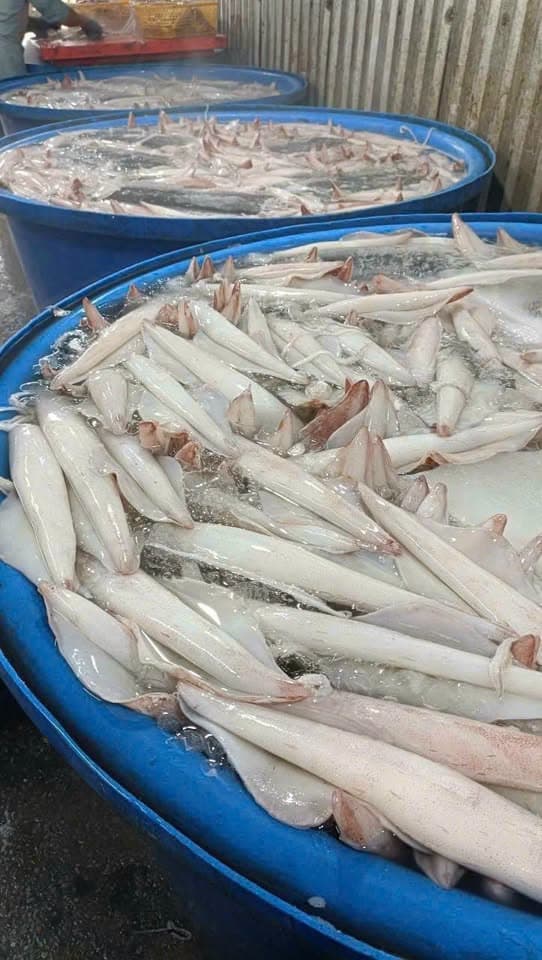 Морепродукты в наличии на 1/7, включая улитки ốc (Tua улитки ốc)