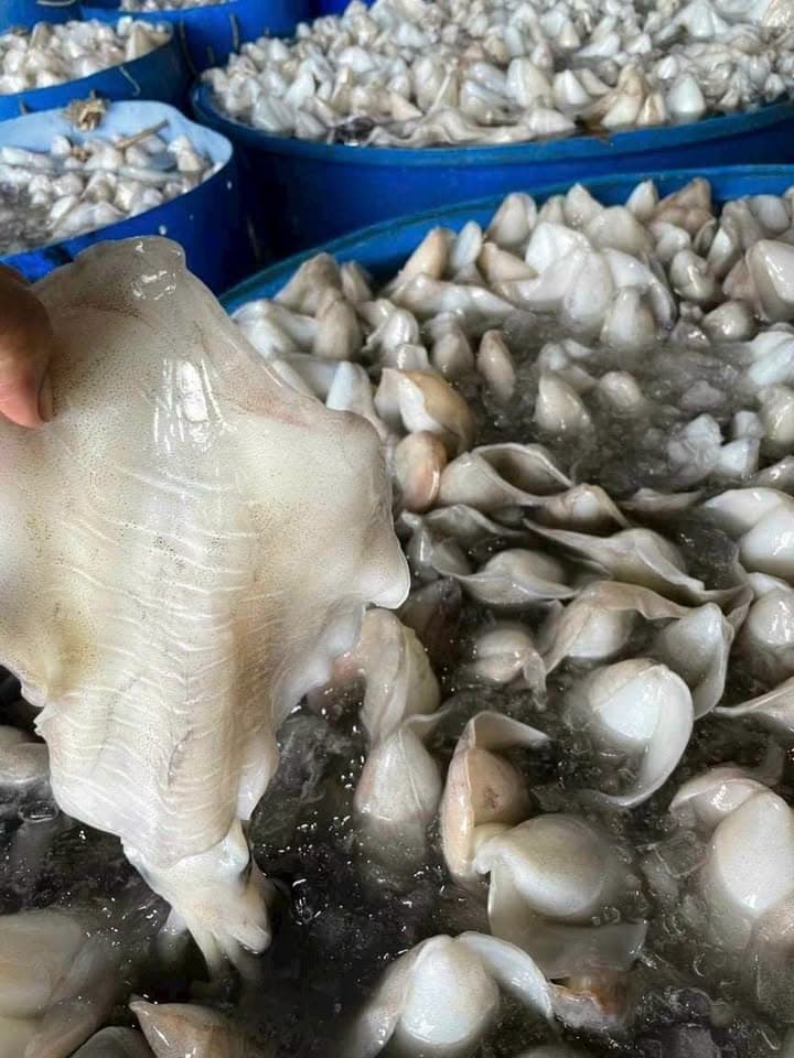 Морепродукты в наличии на 1/7, включая улитки ốc (Tua улитки ốc)