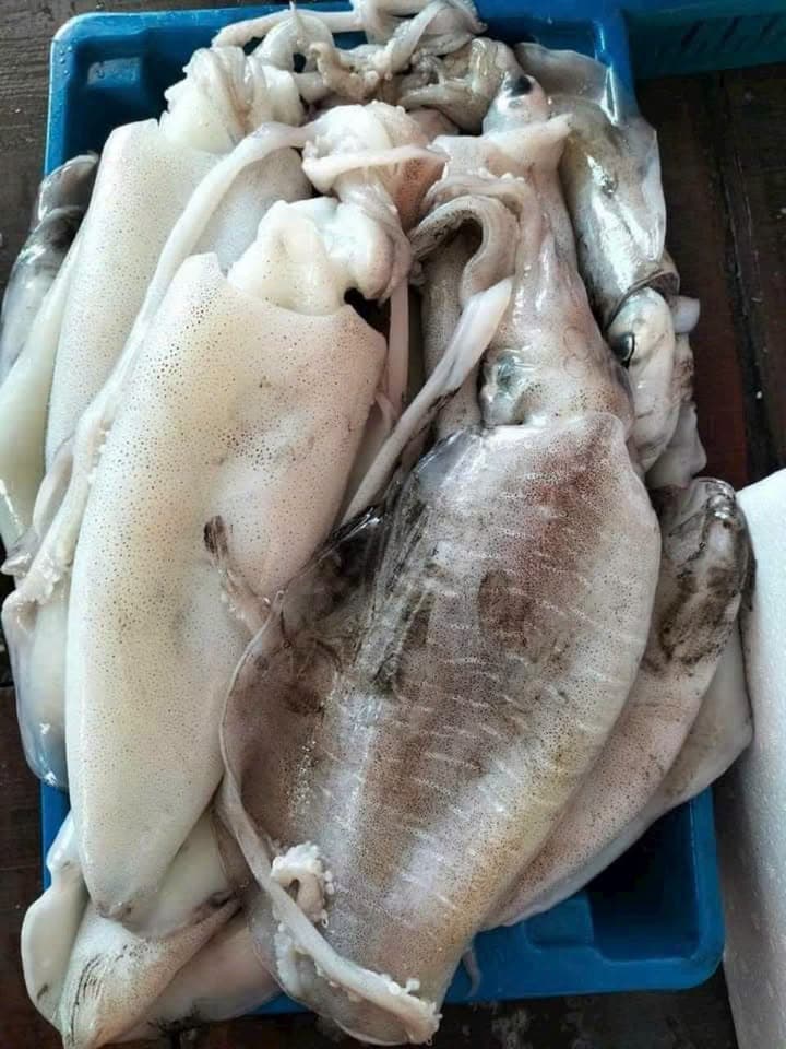 Морепродукты в наличии на 1/7, включая улитки ốc (Tua улитки ốc)
