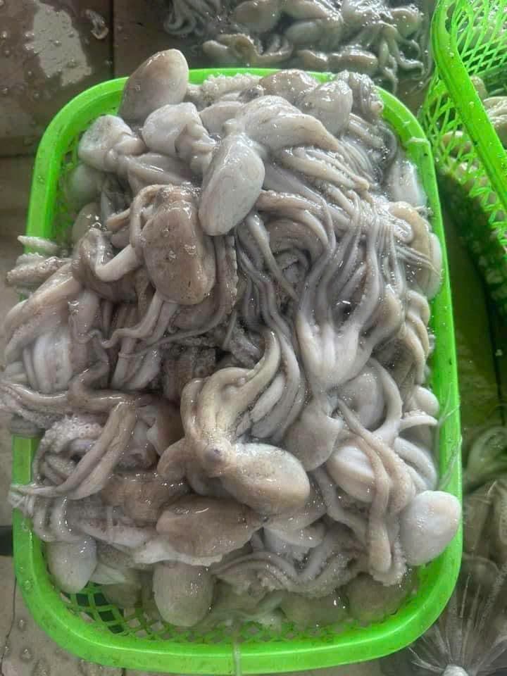 Морепродукты в наличии на 1/7, включая улитки ốc (Tua улитки ốc)
