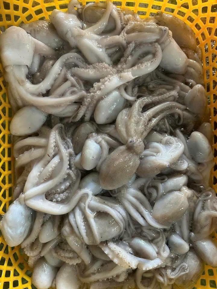 Морепродукты в наличии на 1/7, включая улитки ốc (Tua улитки ốc)